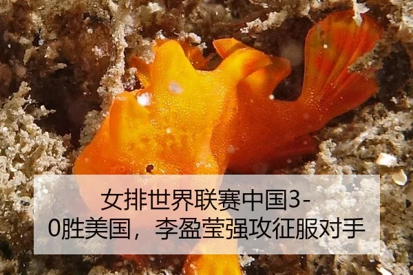 nv-pai-shi-jie-lian-sai-zhong-guo-sheng-mei-guo-li-ying-ying-qiang-gong-zheng-fu-dui-shou-2-452.jpg